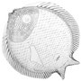 Avet Fuente Servir Pez 30x27.5 cm (4 Unidades) - Colección Marina, Relieve